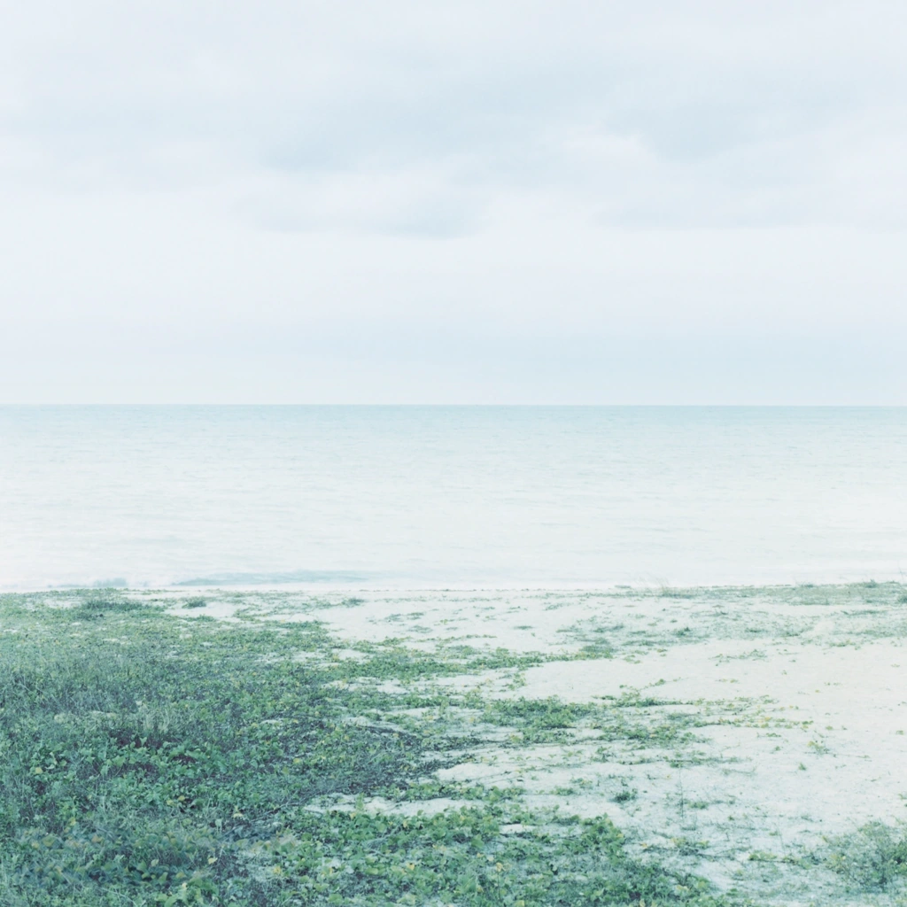 FROM WATER AND EARTH.
